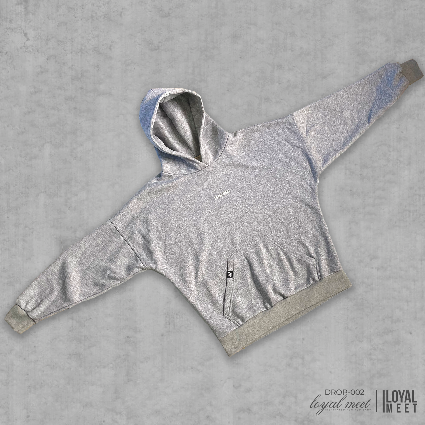 Hoodie WORLDWIDE GRIS